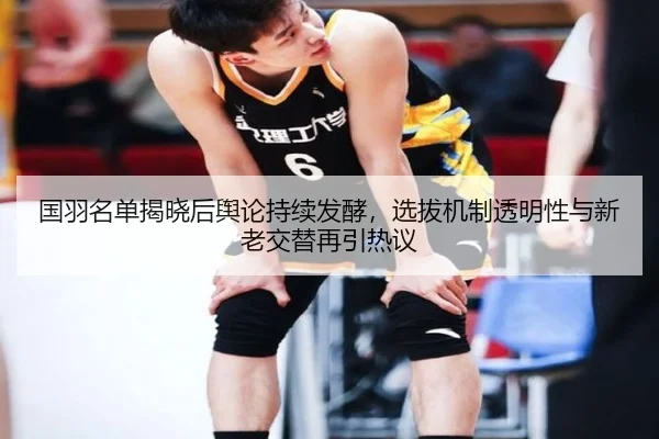 国羽名单揭晓后舆论持续发酵，选拔机制透明性与新老交替再引热议