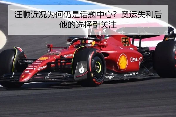 wang-shun-jin-kuang-wei-he-reng-shi-hua-ti-zhong-xin-ao-yun-shi-li-hou-ta-de-xuan-ze-yin-guan-zhu-2-640.jpg